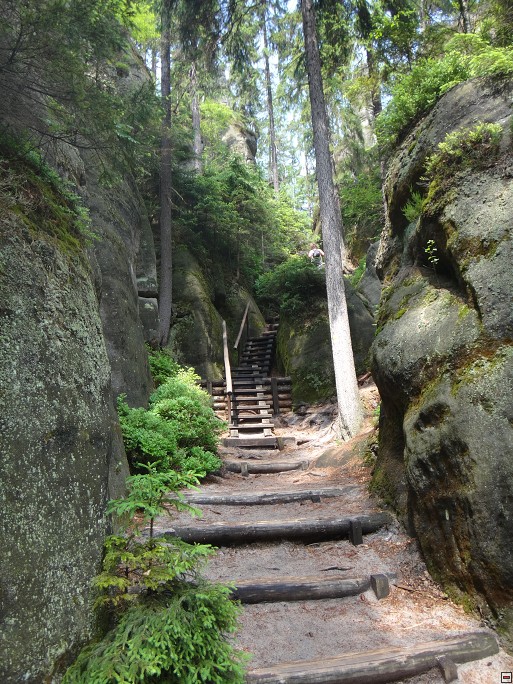 img00051.jpg