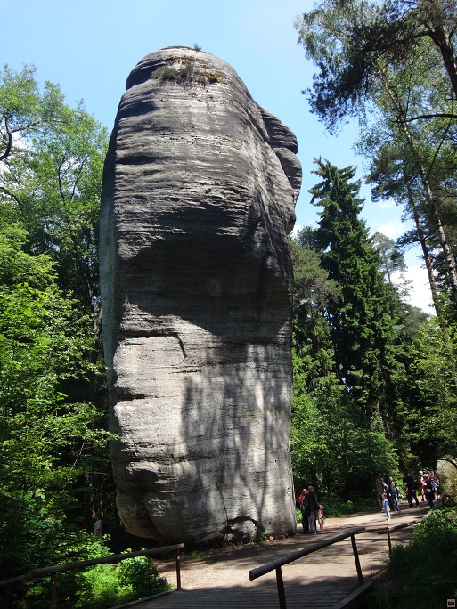 img00063.jpg