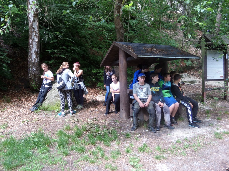 img00041.jpg