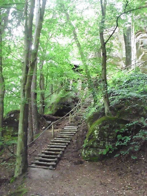 img00063.jpg