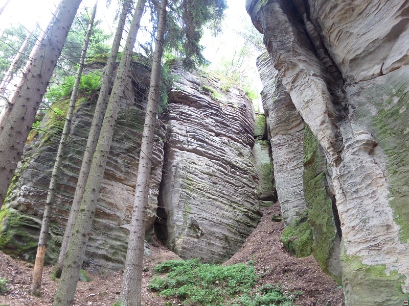 img00038.jpg