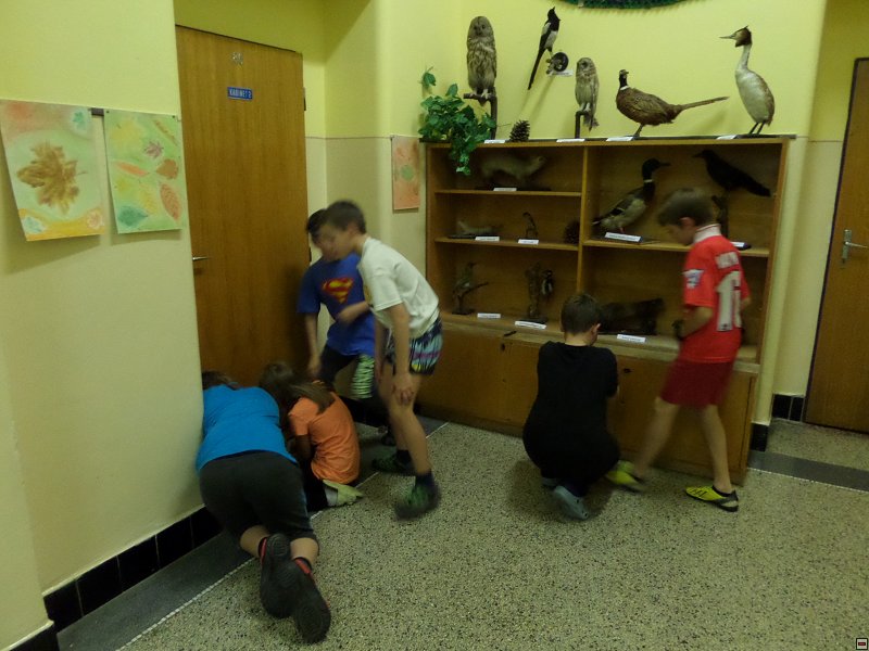 img00015.jpg