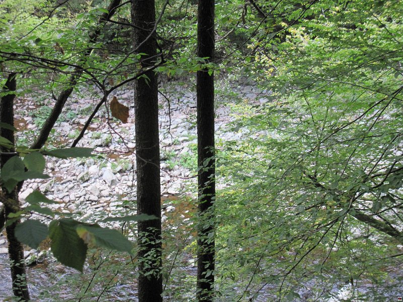 img00016.jpg