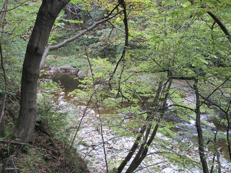 img00023.jpg