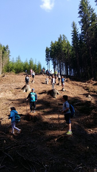 img00017.jpg