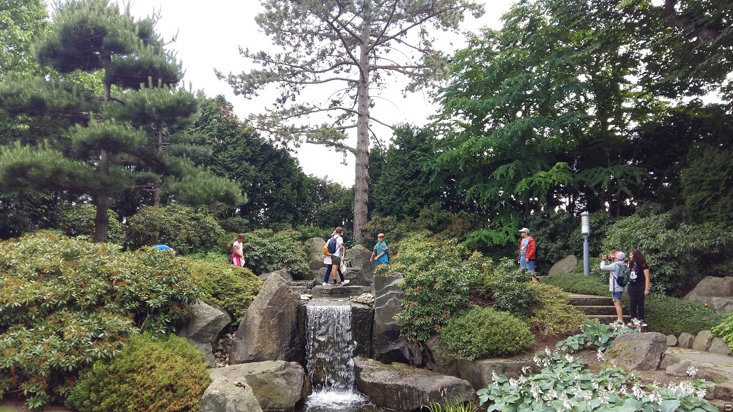 img00030.jpg