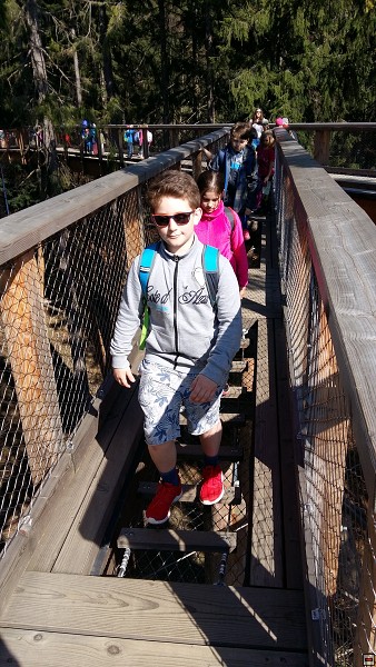 img00018.jpg