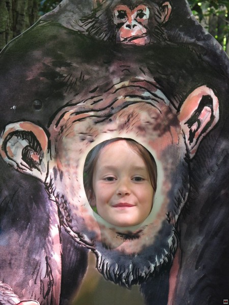 img00003.jpg