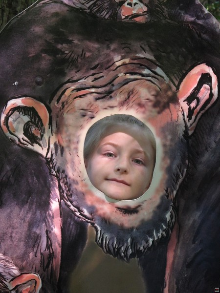 img00004.jpg
