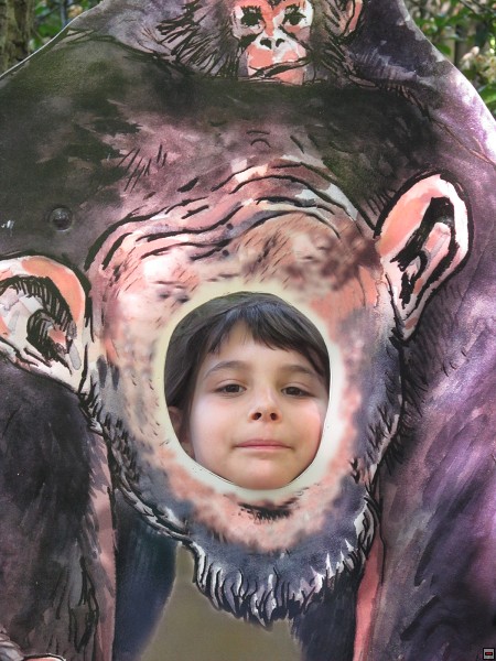 img00015.jpg