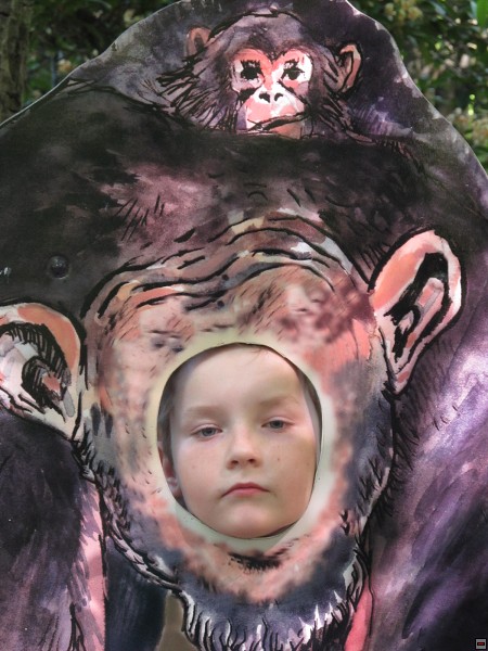img00017.jpg