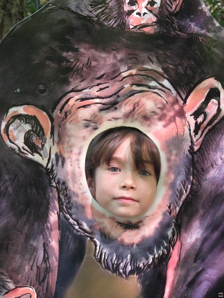 img00018.jpg