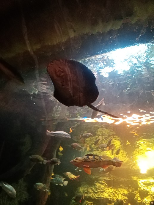img00011.jpg