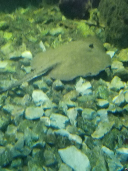 img00017.jpg