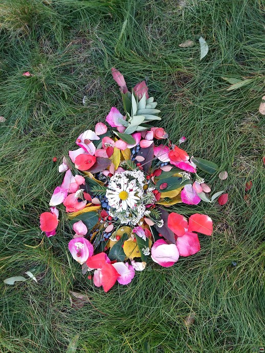 img00019.jpg
