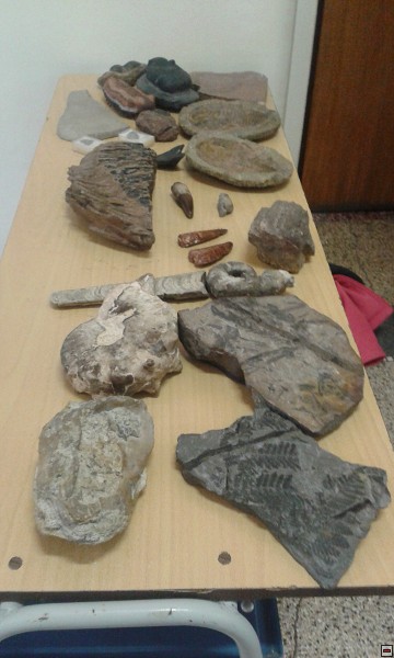 img00002.jpg