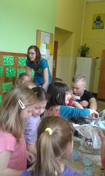 img00026.jpg