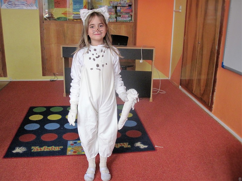 img00012.jpg