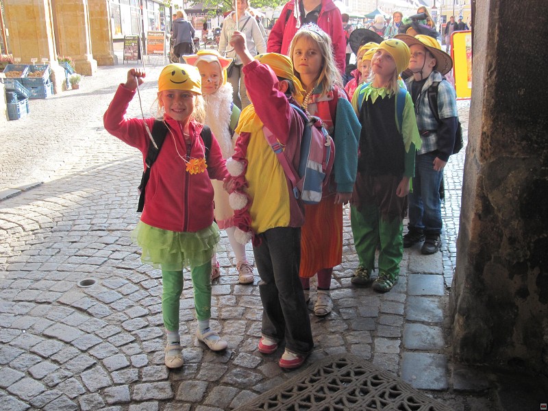 img00011.jpg