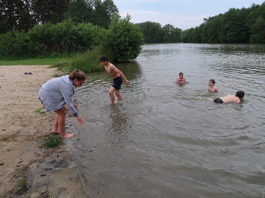 img00050.jpg