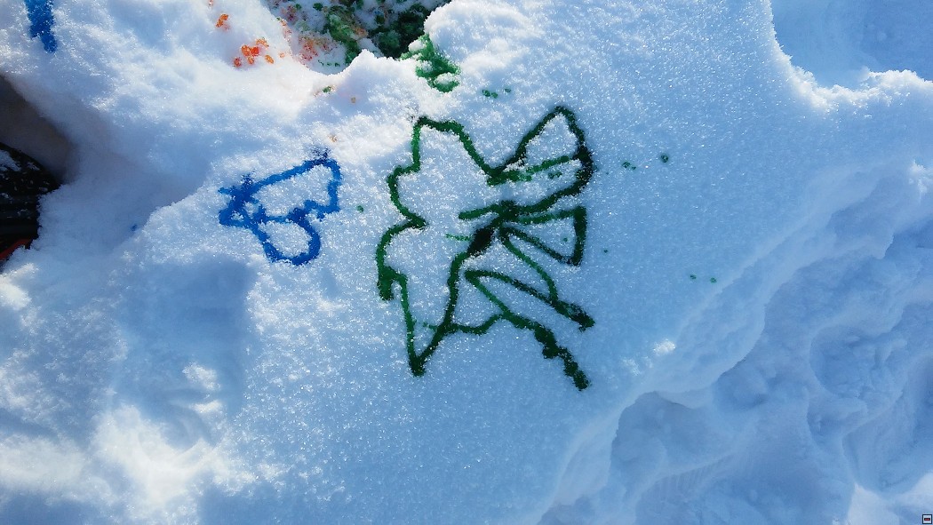 img00017.jpg