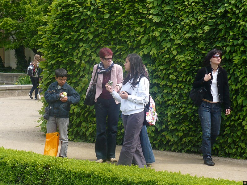 img00029.jpg