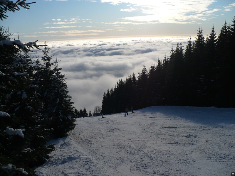 img00036.jpg