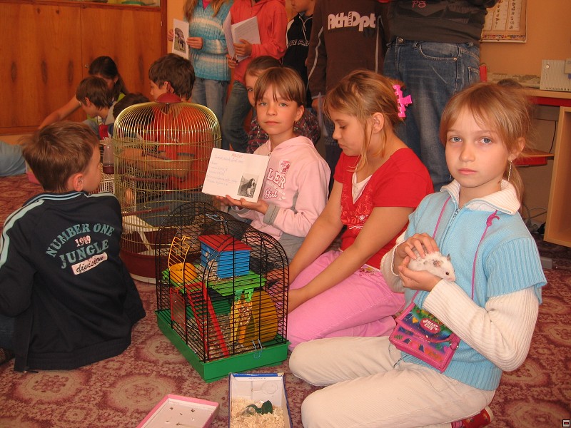 img00006.jpg