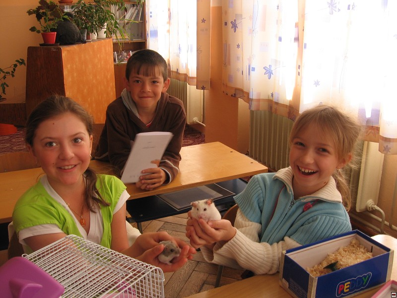img00010.jpg