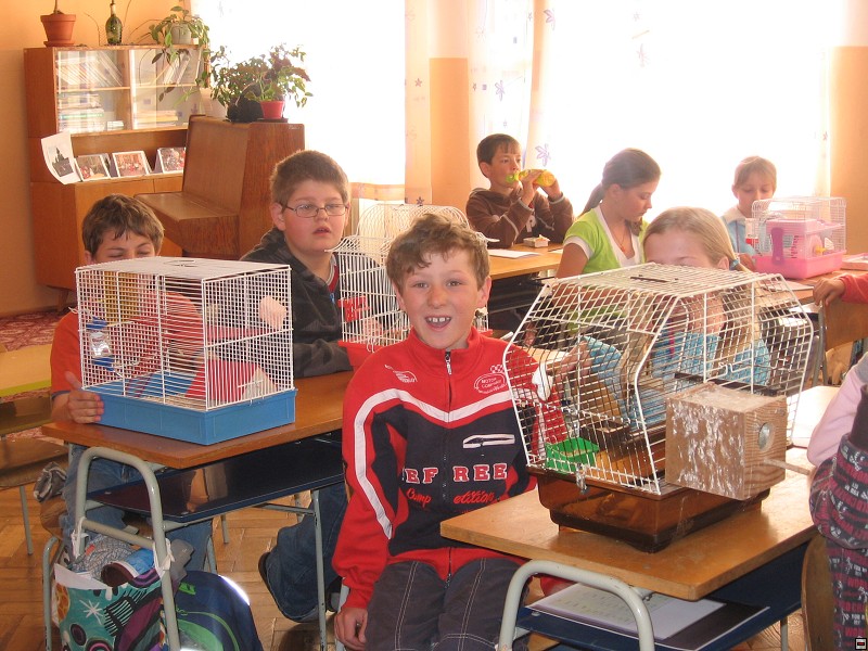 img00012.jpg