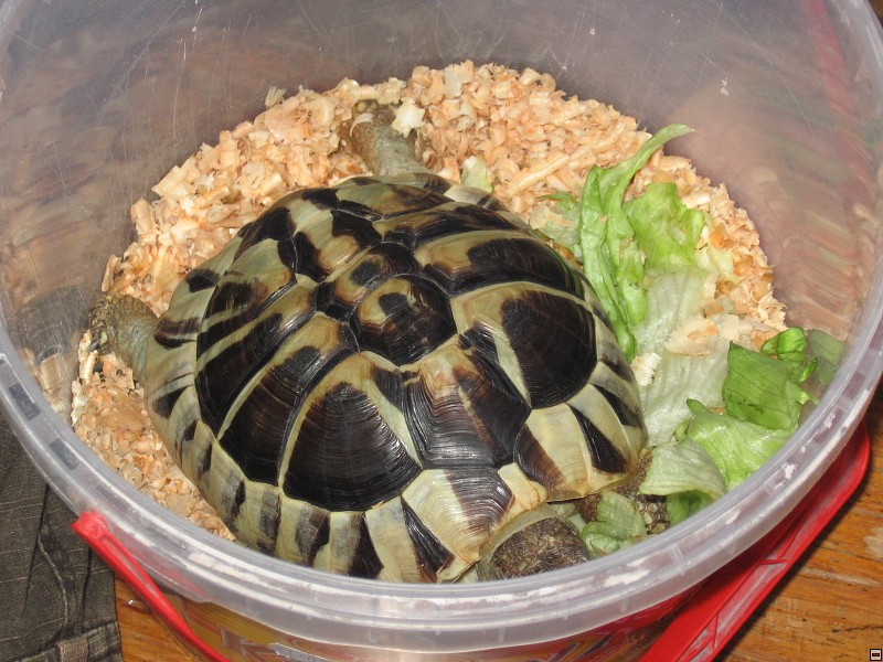 img00020.jpg