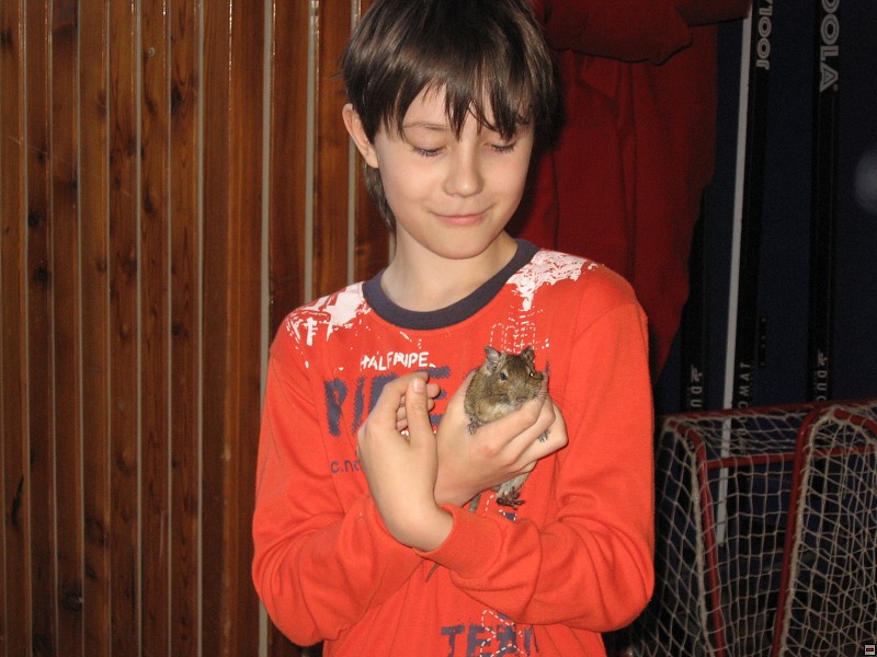 img00024.jpg