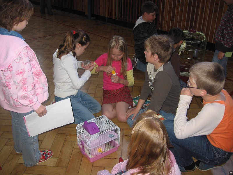 img00025.jpg