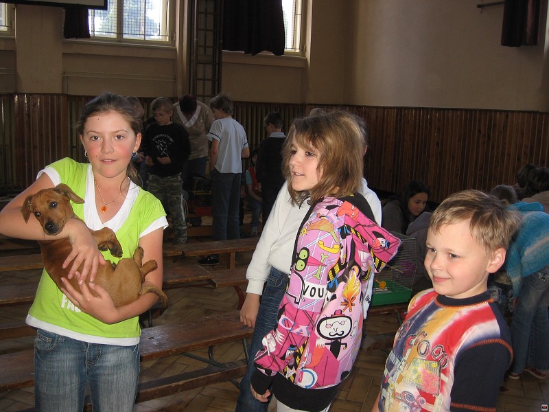 img00026.jpg