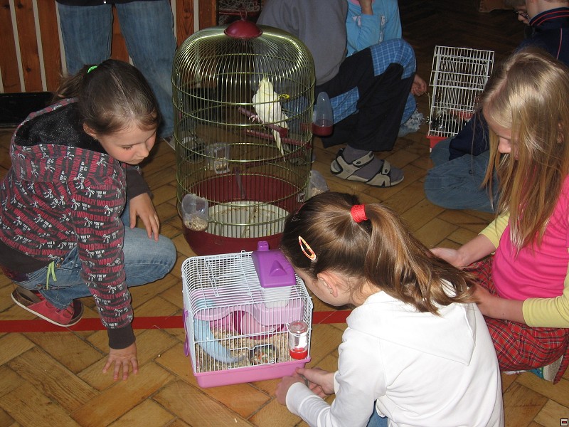 img00036.jpg
