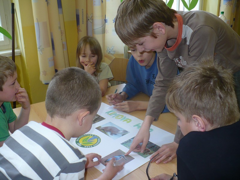 img00015.jpg