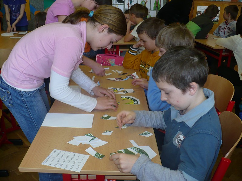 img00016.jpg