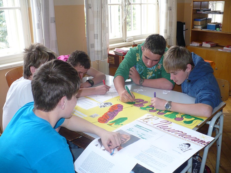 img00029.jpg