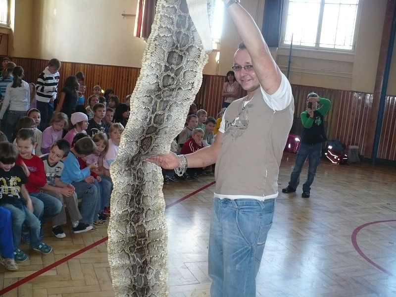 img00003.jpg