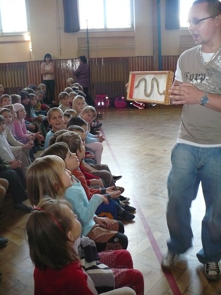 img00006.jpg