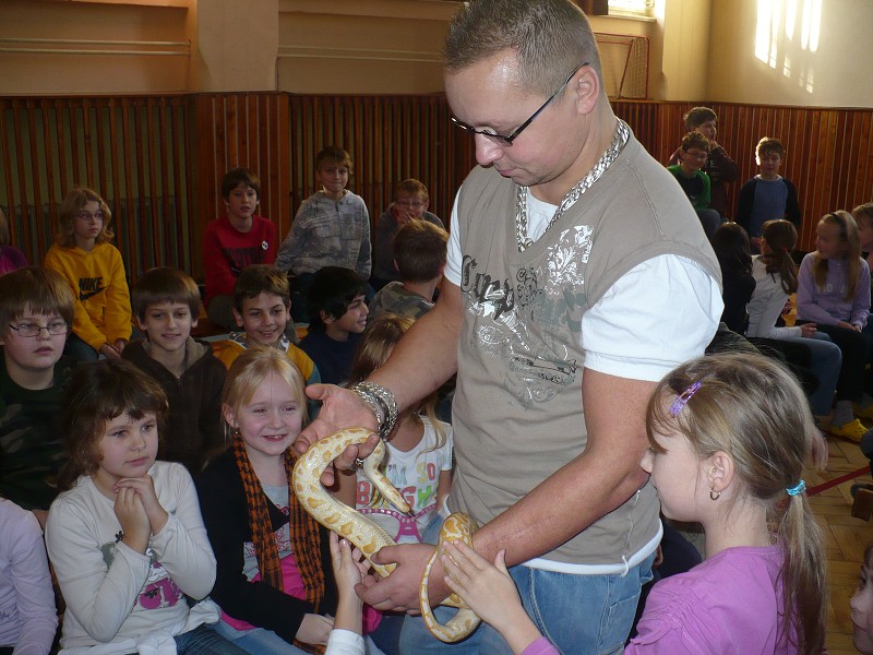 img00010.jpg