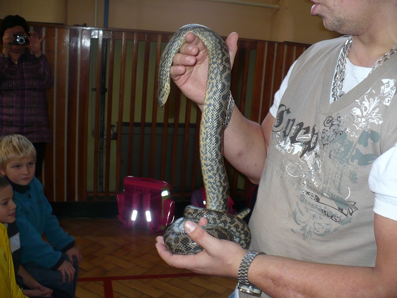 img00012.jpg