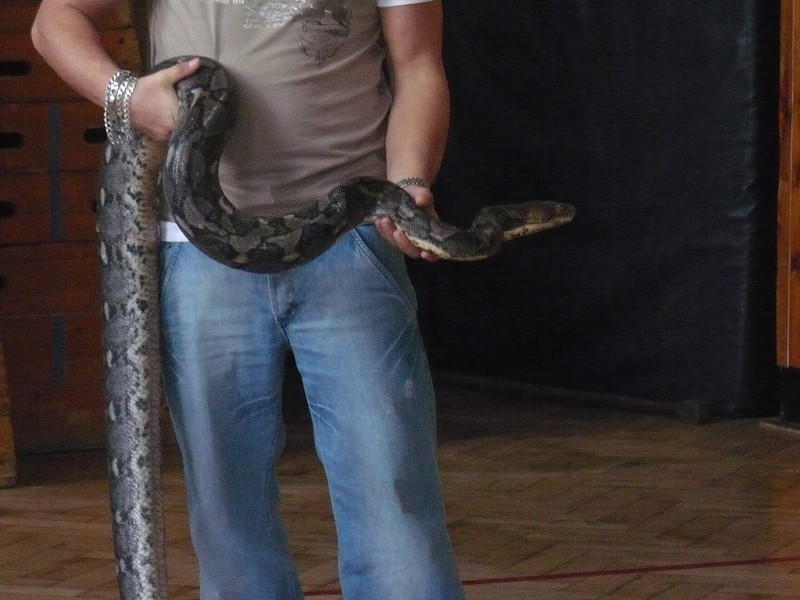 img00027.jpg