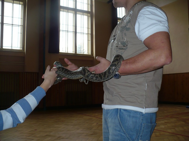img00029.jpg