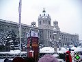 thn00025.jpg