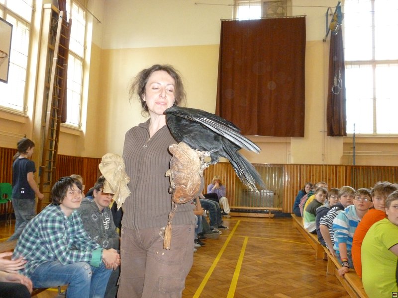 img00018.jpg