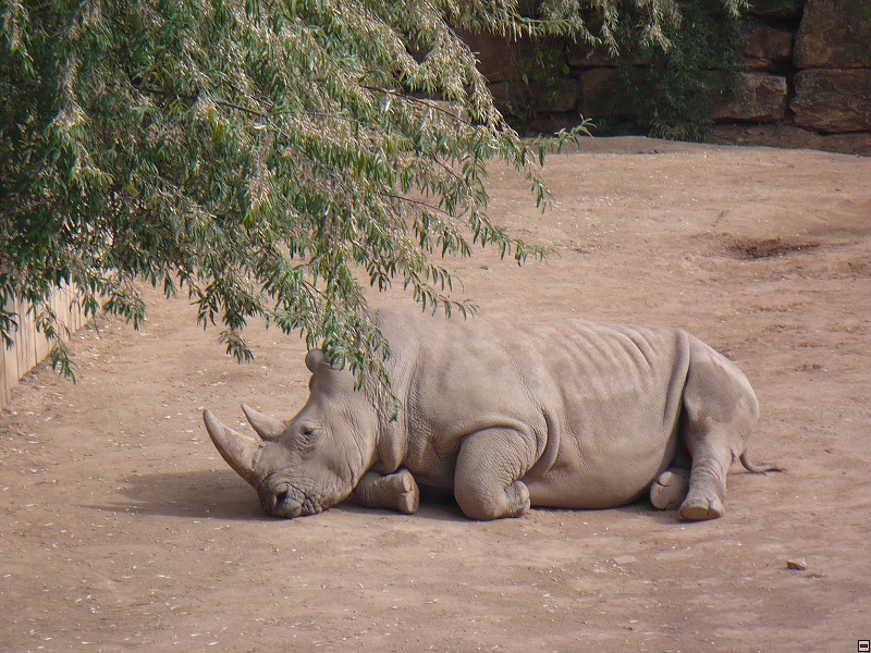 img00060.jpg
