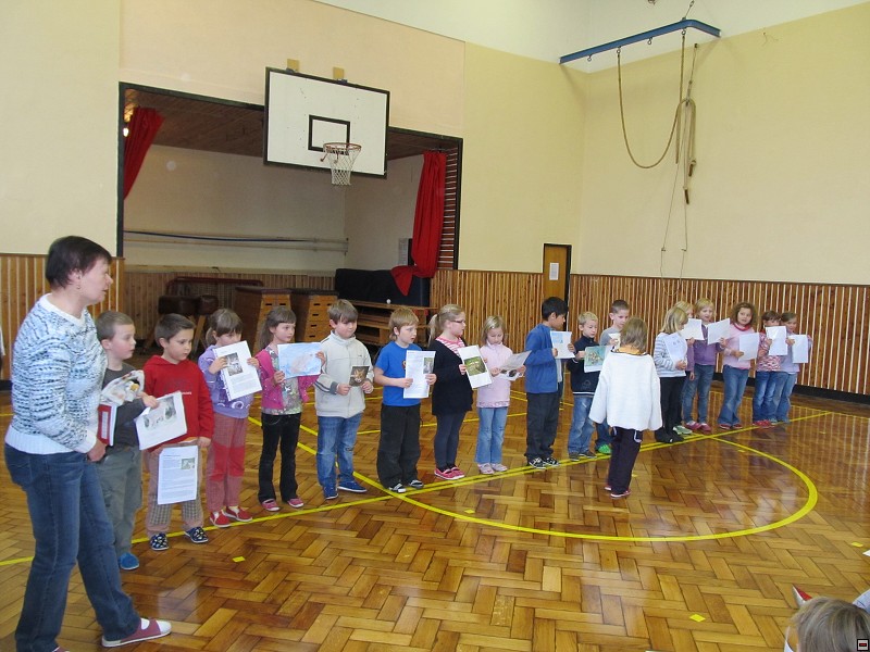 img00005.jpg