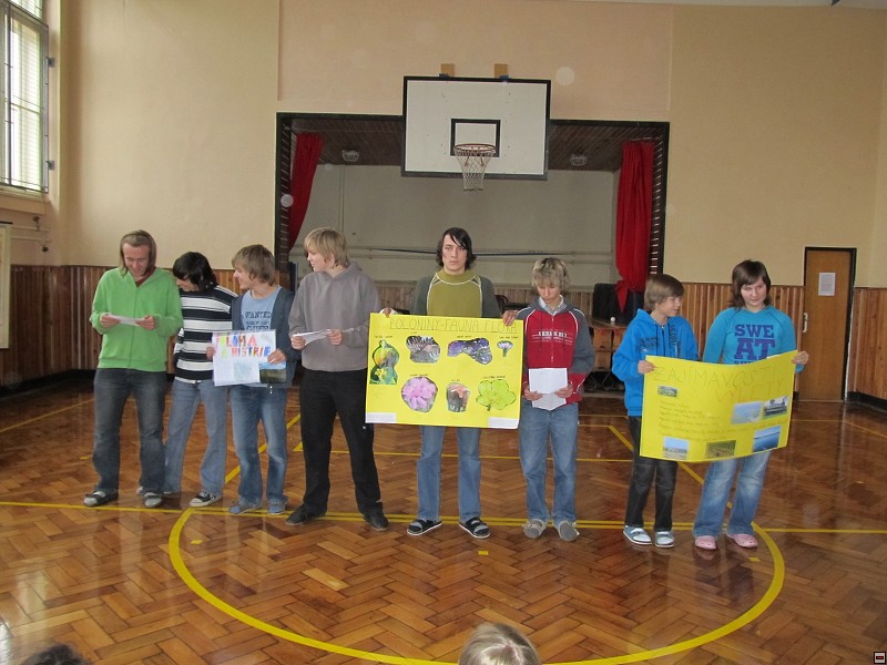 img00051.jpg