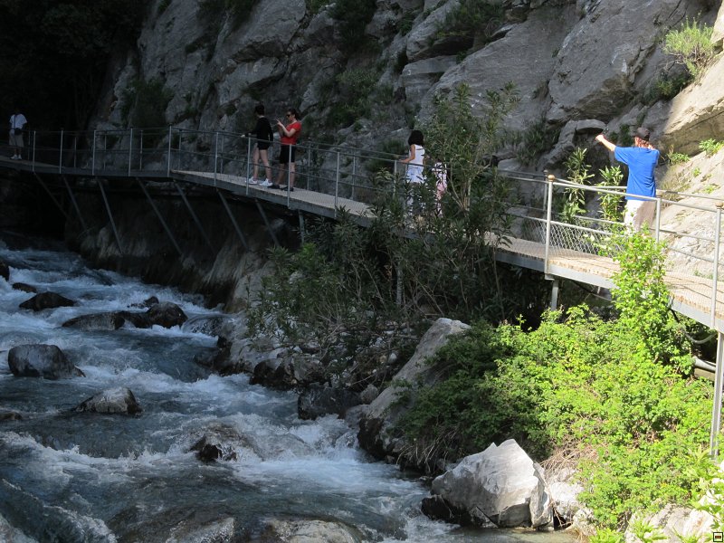 img00074.jpg
